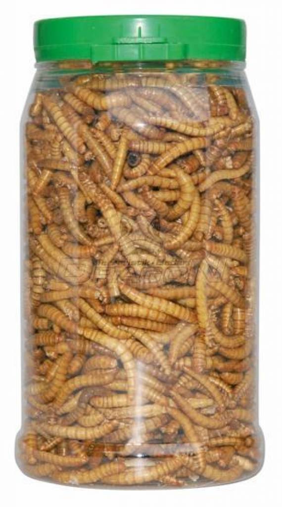 CRISPY FOOD